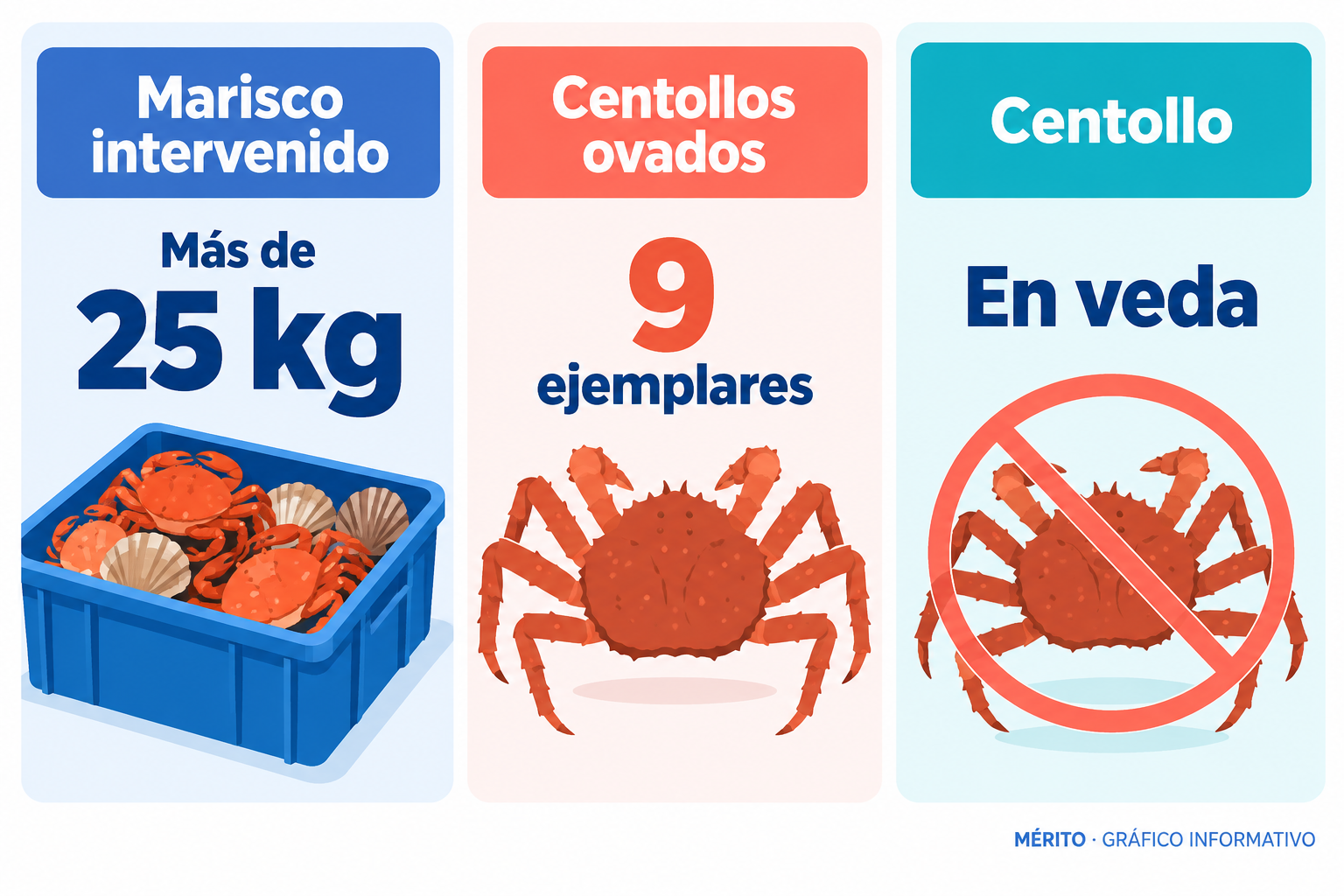 Dos datos de la actuación en Moaña: más de 25 kilos de marisco intervenido y nueve centollos ovados.