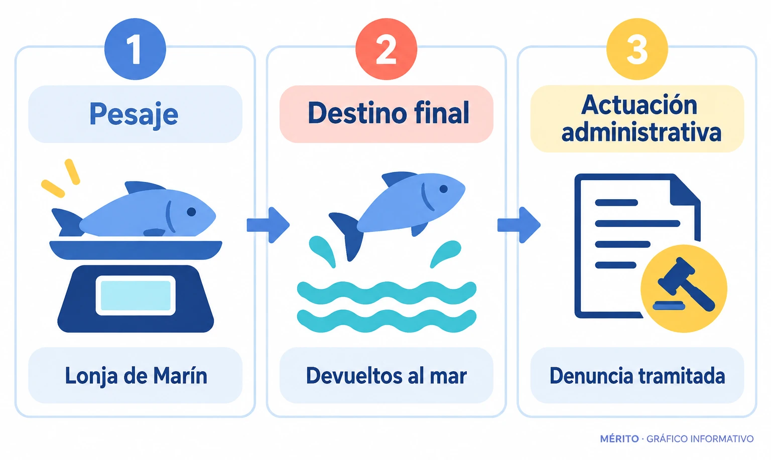 El marisco vivo fue llevado a la lonja de Marín para su pesaje y después devuelto al mar.