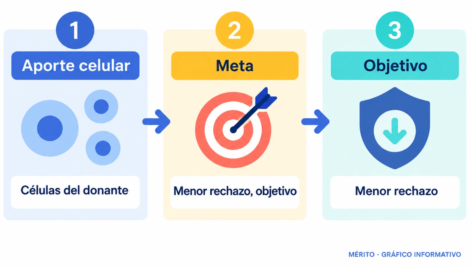 Diagrama del objetivo de la investigación: favorecer la tolerancia del organismo al órgano trasplantado.