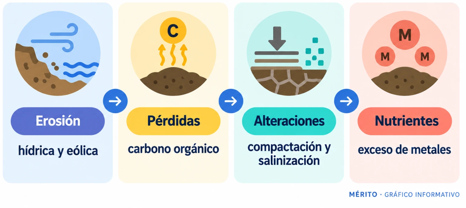 Diagrama de proceso con los factores que el informe incluye en el indicador de degradación del suelo: erosión, pérdida de carbono orgánico, compactación, salinización y exceso de nutrientes o metales.