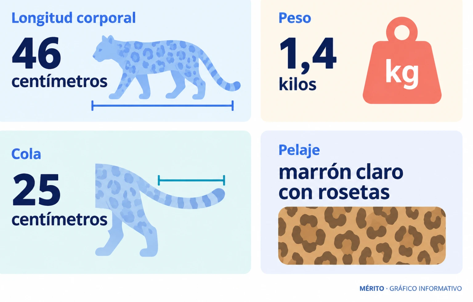 Tarjetas con longitud corporal, peso, longitud de cola y descripción del pelaje del gato tilcayo.