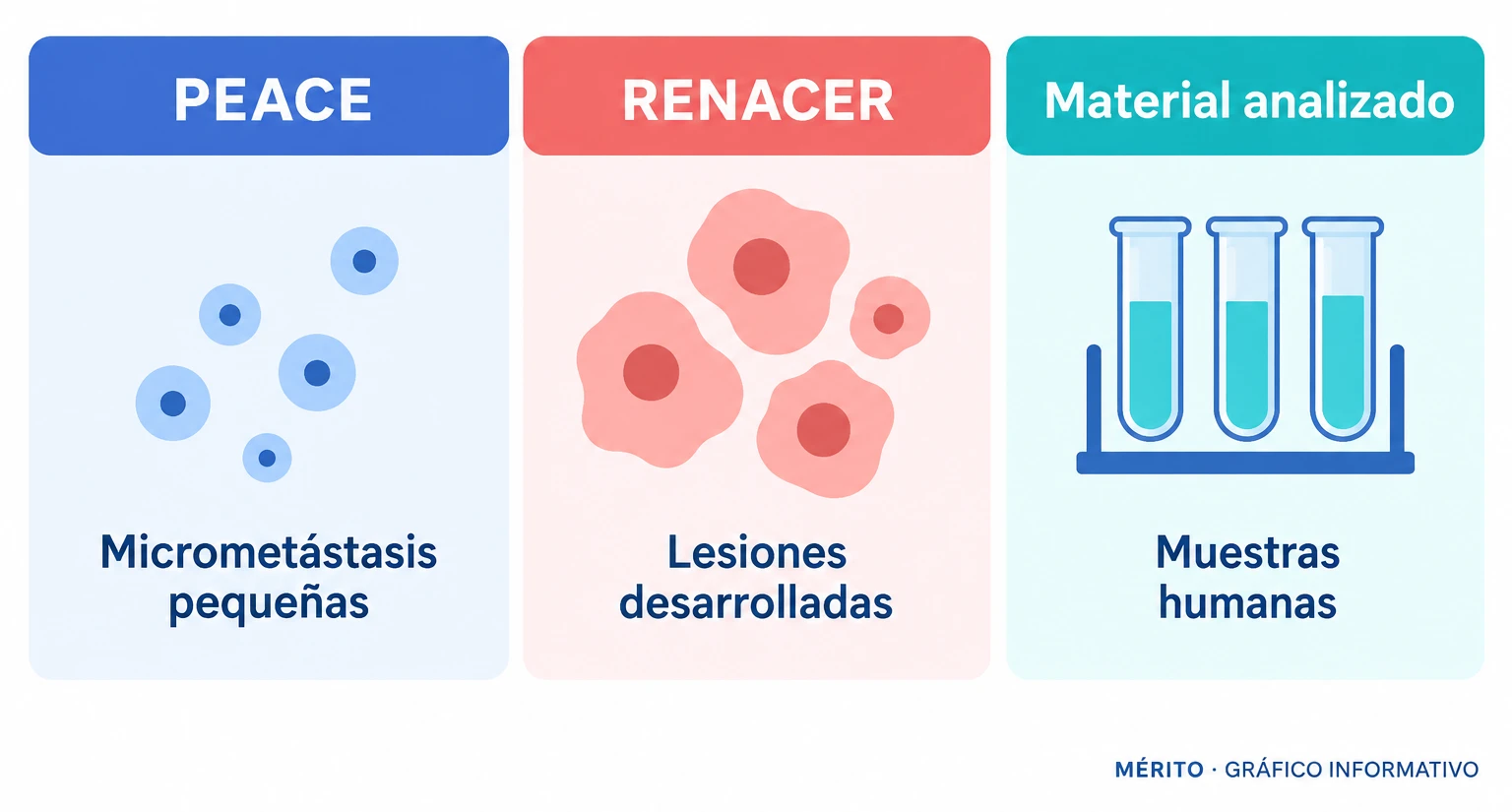 Comparación informativa entre las muestras de autopsia de PEACE, útiles para estudiar micrometástasis no detectadas en vida, y las muestras quirúrgicas de RENACER, procedentes de lesiones desarrolladas.