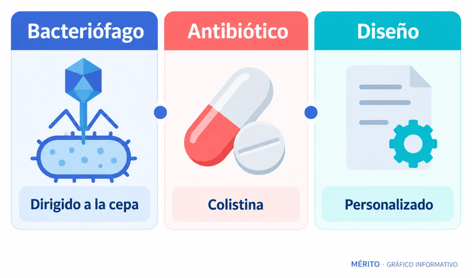 Diagrama del tratamiento: un bacteriófago seleccionado para la cepa del paciente se combinó con el antibiótico colistina.