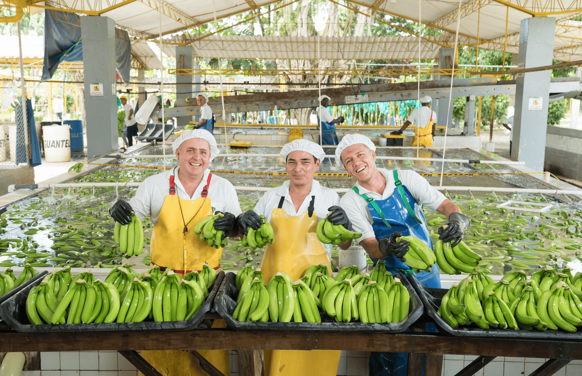 Más de 200.000 empleos dependen directamente de la agroindustria