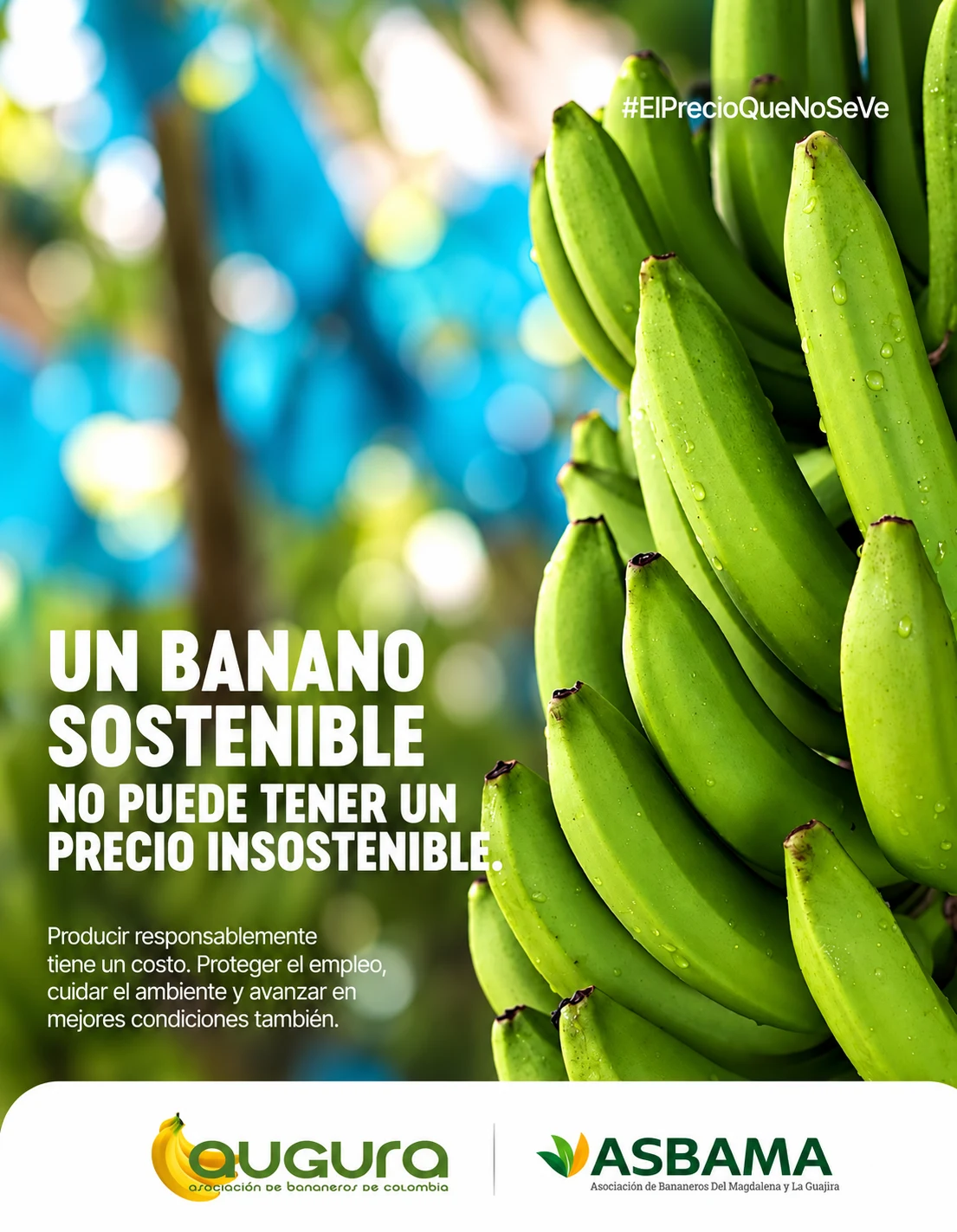 Un banano sostenible, no puede tener un precio insostenible