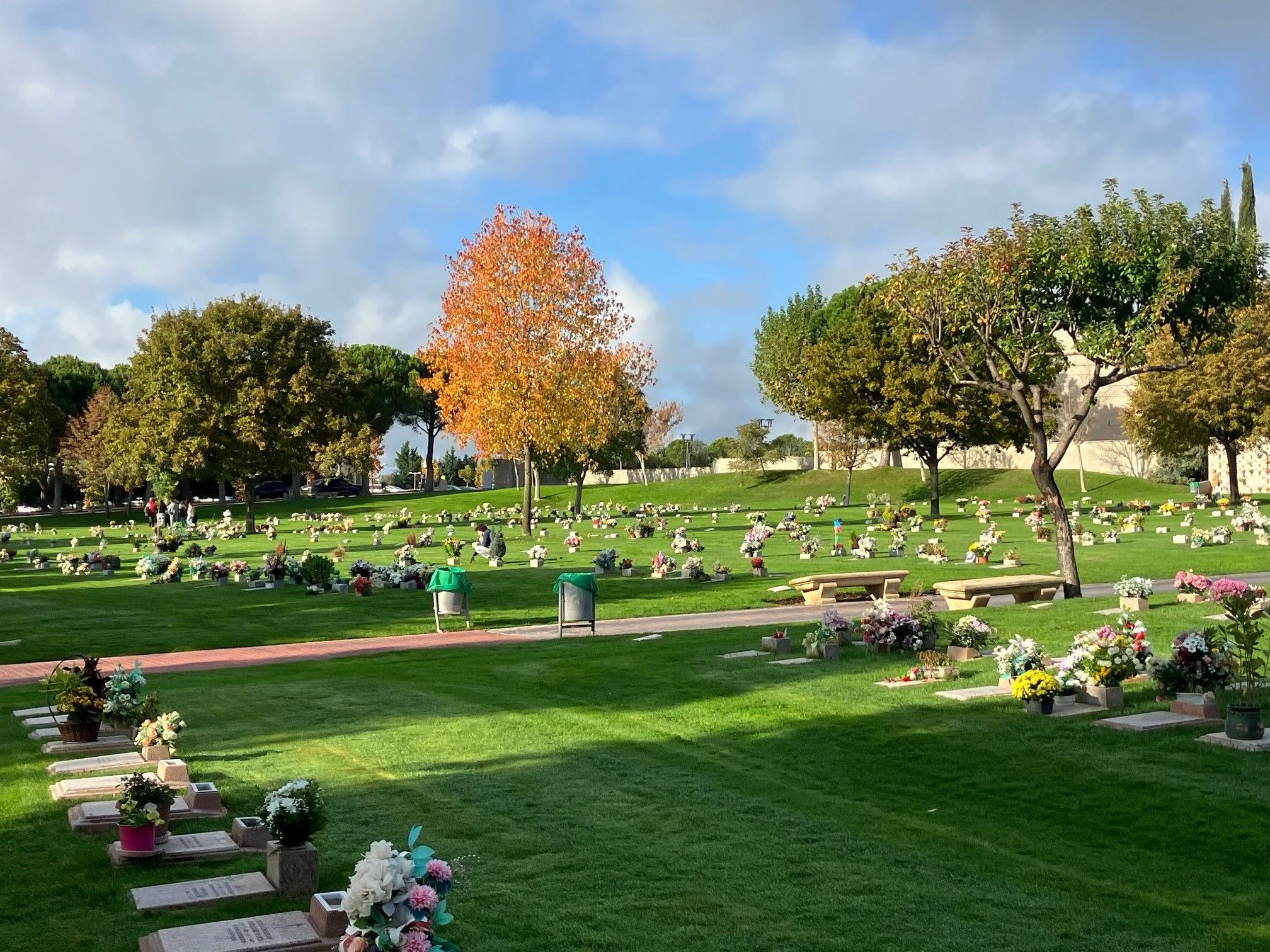 Vista del Parque Cementerio de La Paz (Alcobendas, Madrid)